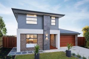 Lomandra 43