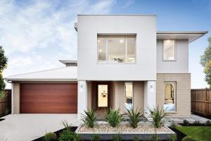 Lomandra 43