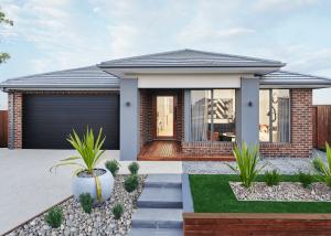 Wallaby 26