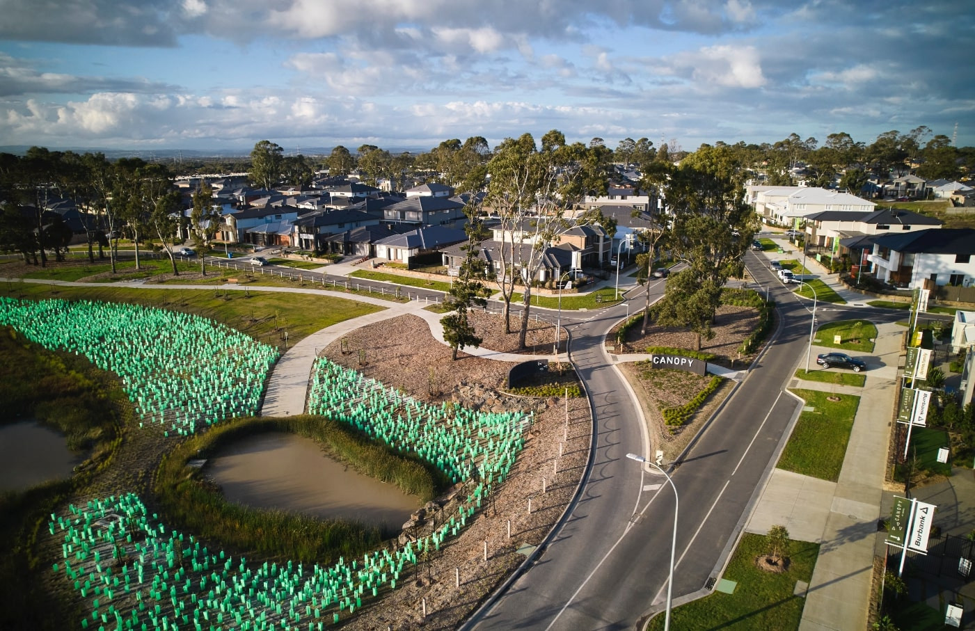 Birds eye shot of the entire Canopy housing estate in Cranbourne which features wetalnds and quality home designs