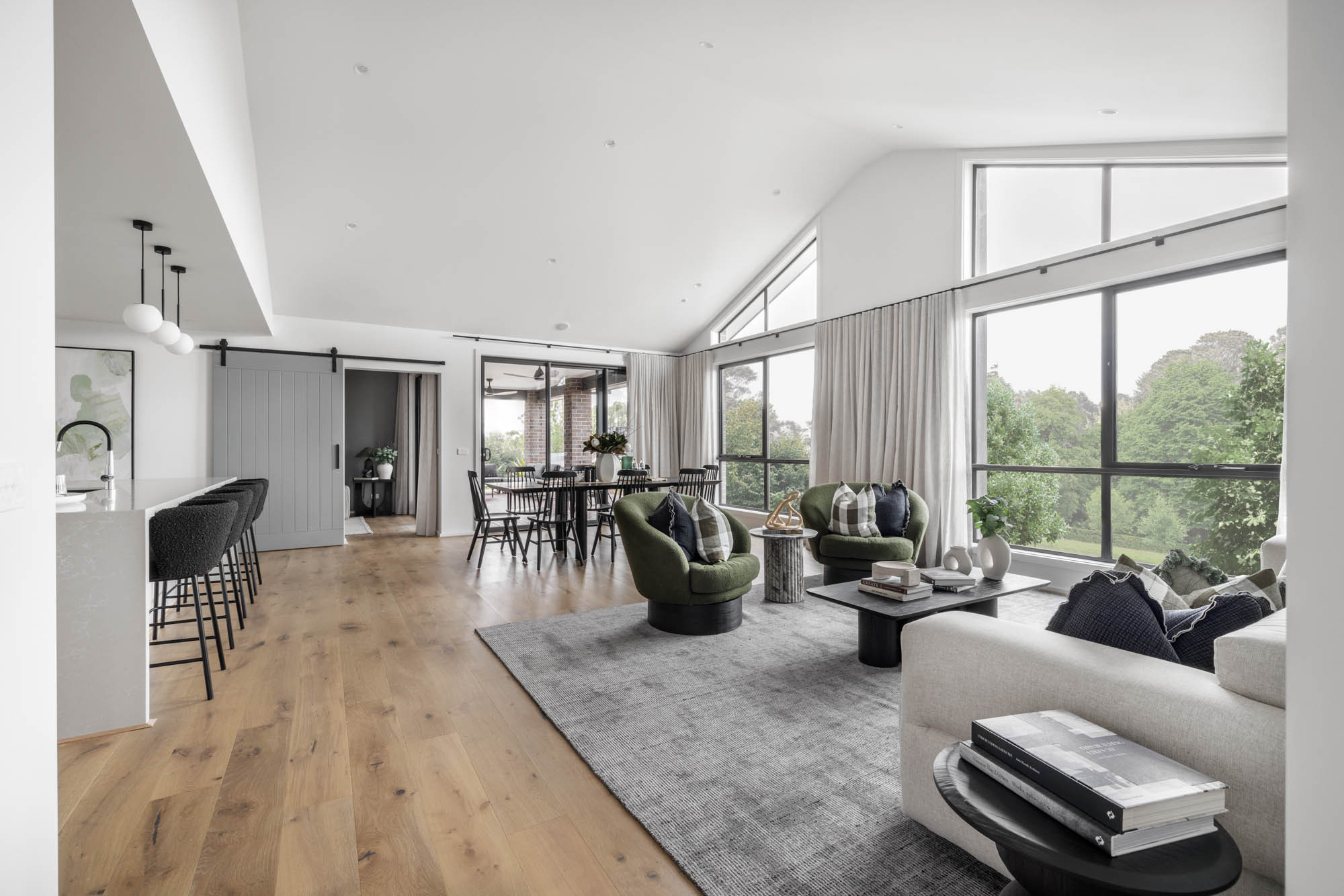 raked ceiling in the living room